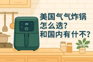 美国空气炸锅怎么选？和国内有什么不一样？