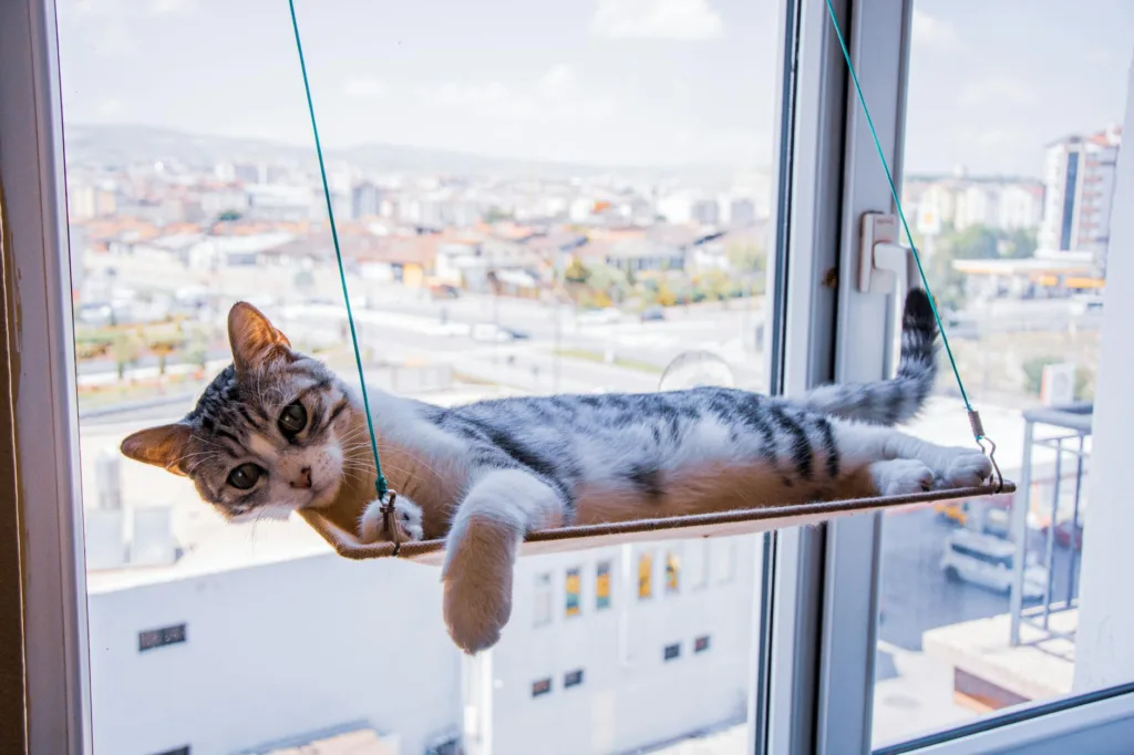 窗边猫吊床怎么选？2026年9款窗台、吸盘与支撑式产品对比与选购建议