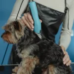 2026年厚毛犬理发器推荐：9款热门型号对比与选购建议