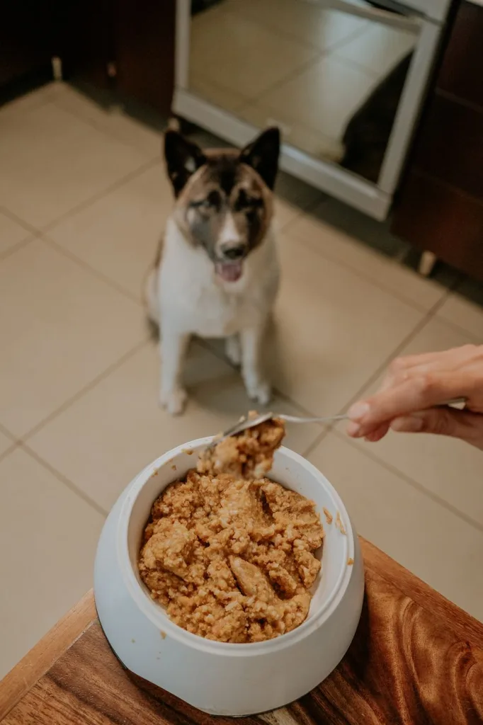 2026年完整配方生食犬粮推荐：9款冷冻干燥与高压处理产品对比与选购建议