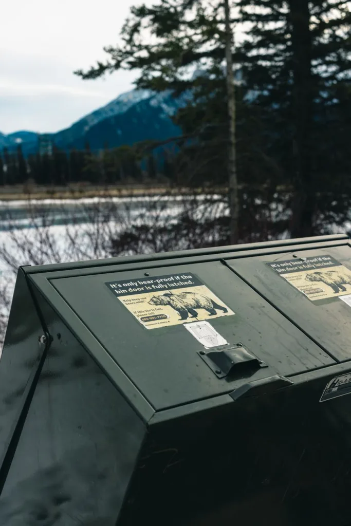 Green metal bear-proof food locker with warning sticker at woodland lakeside campsite — bear-proof cooler, camping storage